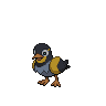 Dark Wattrel